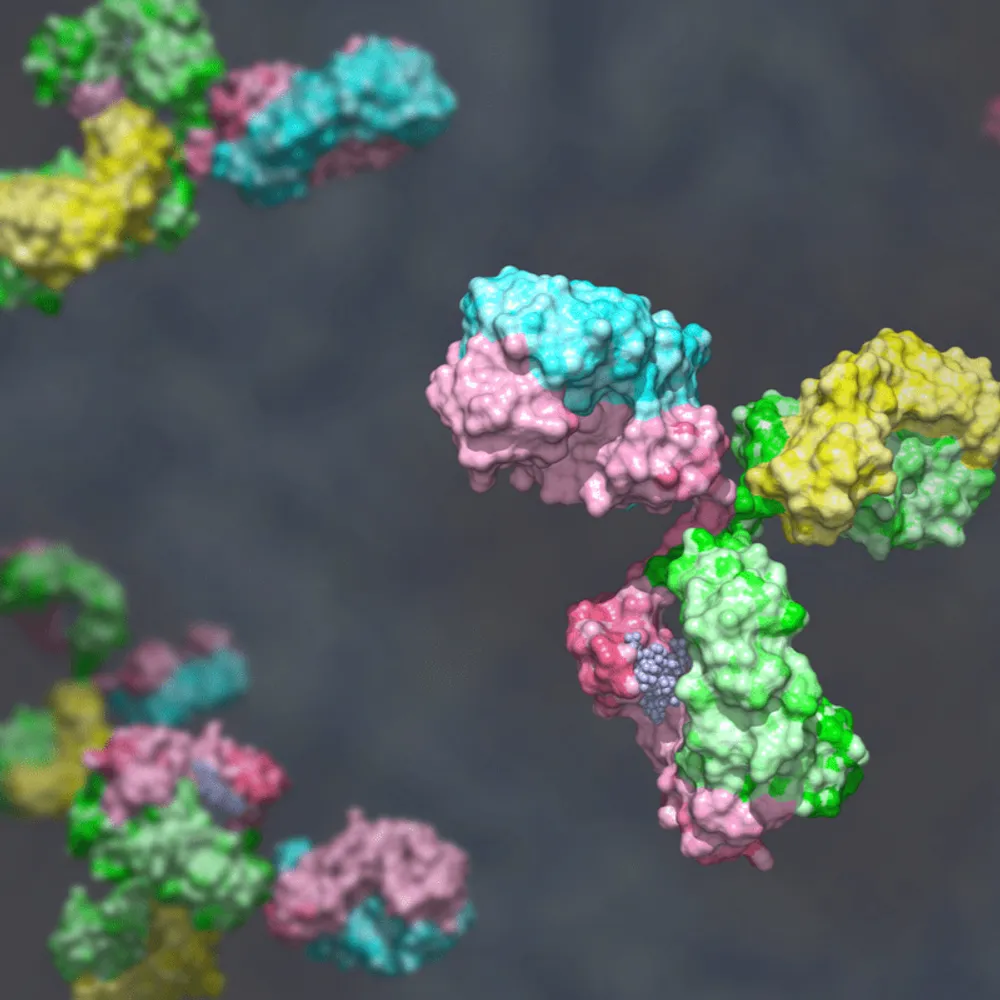 Know Your Myeloma Immunotherapy: Bispecific Antibodies with Dr. Cesar Rodriguez image