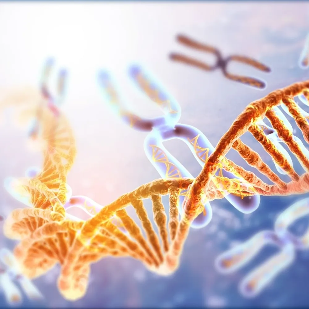 Risk Status in Multiple Myeloma (Understanding FISH and Chromosomes)- NOT RECORDED image