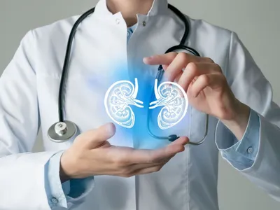 New Treatment For Chronic Kidney Disease And Type 1 Diabetes image