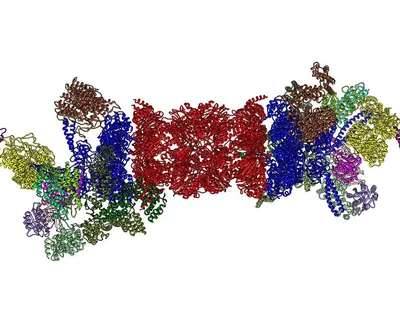 Proteasome Inhibitors: Still a Powerful Weapon Against Myeloma image