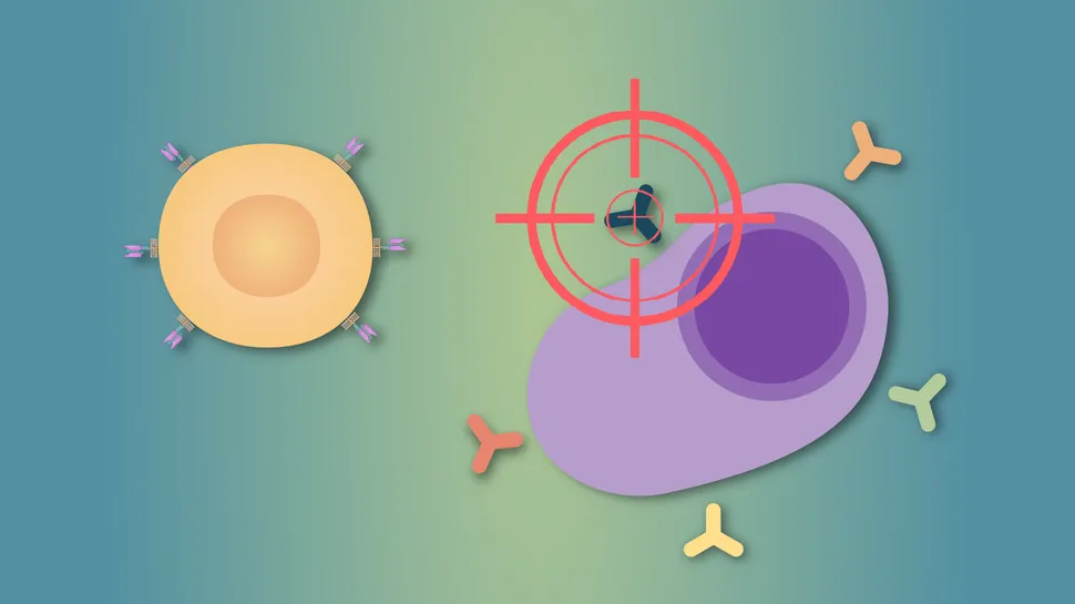 Enhancing CAR T-Cell Therapy in Multiple Myeloma image