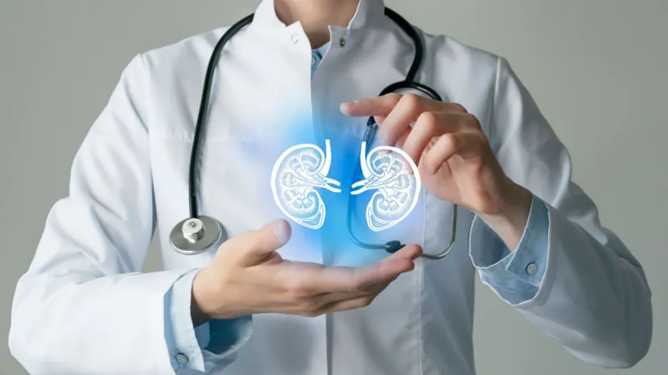 New Treatment For Chronic Kidney Disease And Type 1 Diabetes image