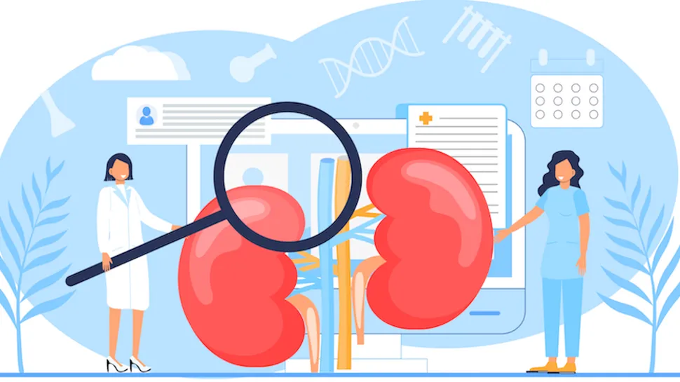 Acute Myeloid Leukemia and Your Kidneys: What You Need to Know image