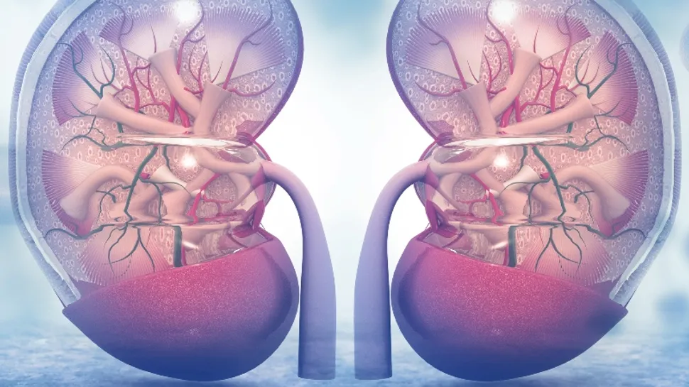 What Is MGRS And How Does It Affect My Kidneys? image