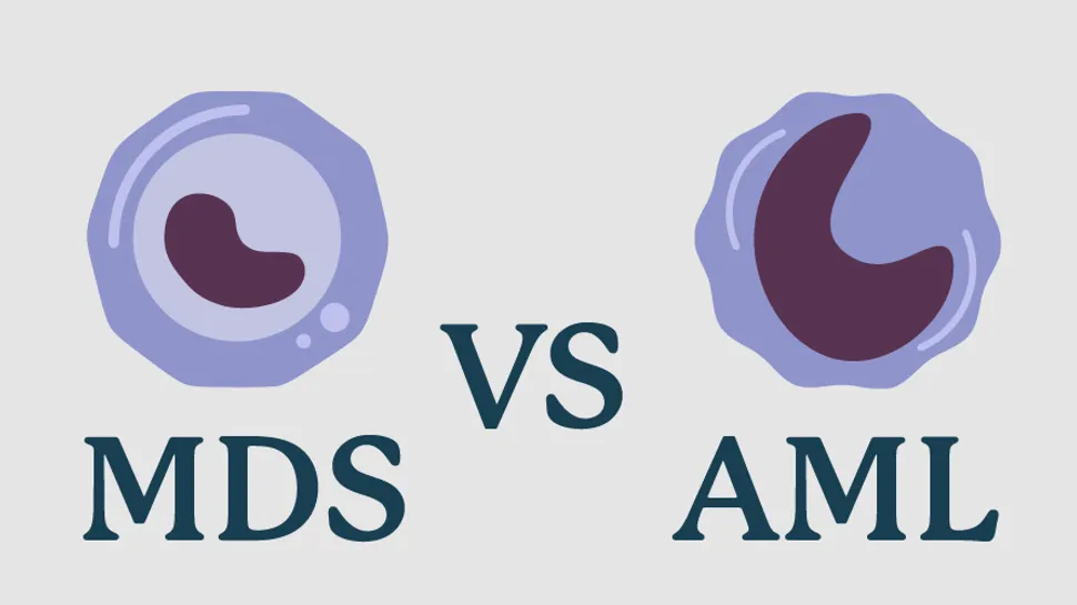 How Does MDS Turn into AML? image