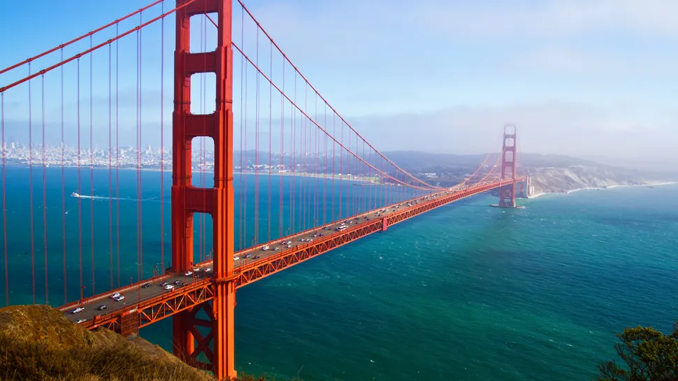 Register for the Bay Area Myeloma RoundTable on March 9th image