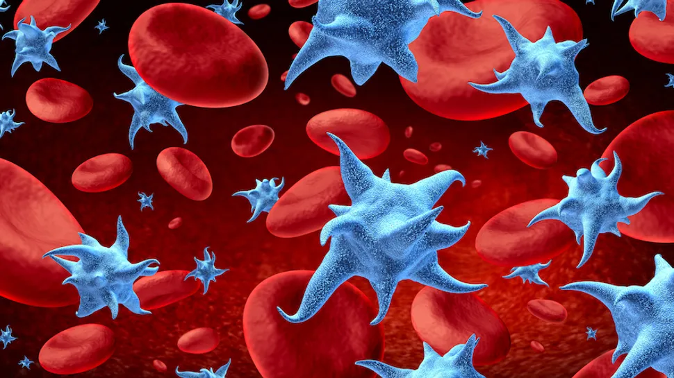 Managing Low Platelet Levels in Blood Cancers image