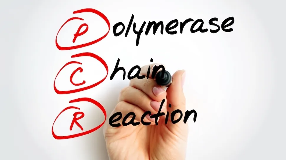 Tests for CLL Patients: Polymerase Chain Reaction (PCR) image