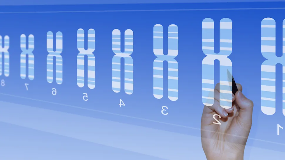 Tests for CLL Patients: CpG-Stimulated Karyotype image