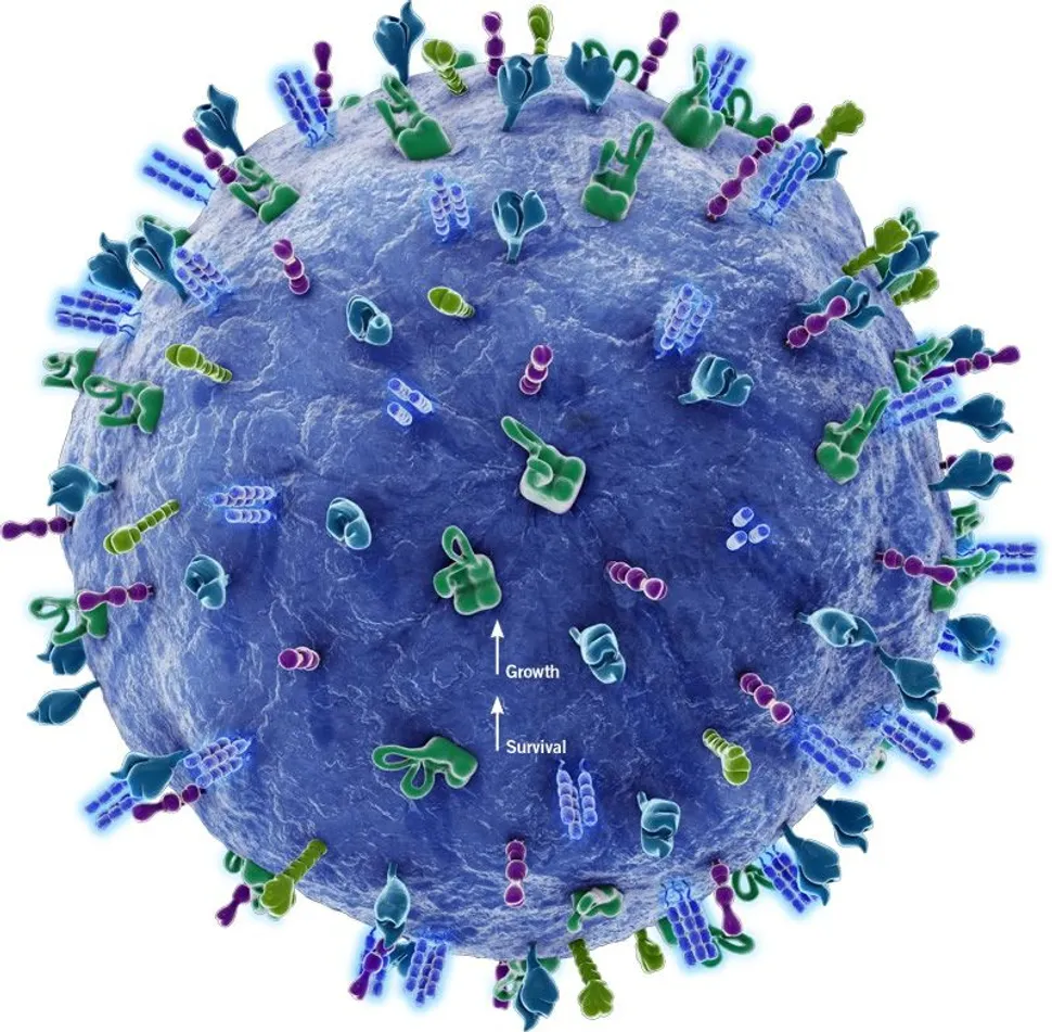 Anti-CD38 Immunotherapies in Myeloma Take a Solid Step Forward - Daratumumab and SAR650984 image