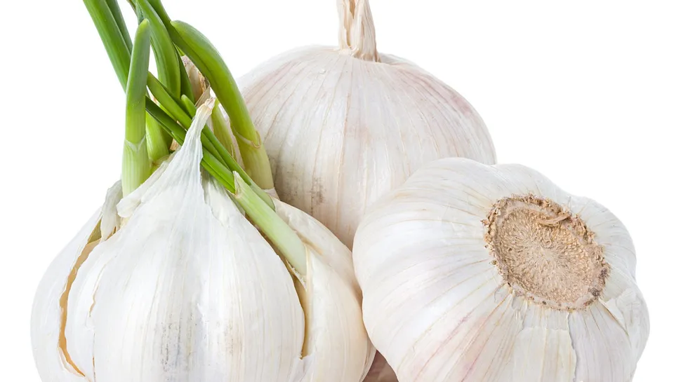 The Powerful Anti-Cancer Benefits Of Garlic  image