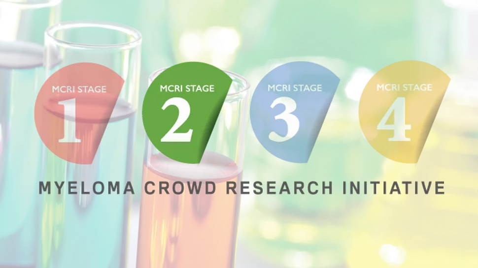 Myeloma Crowd Research Initiative (MCRI) Chooses 10 High-Risk Multiple Myeloma Proposals For Further Review image