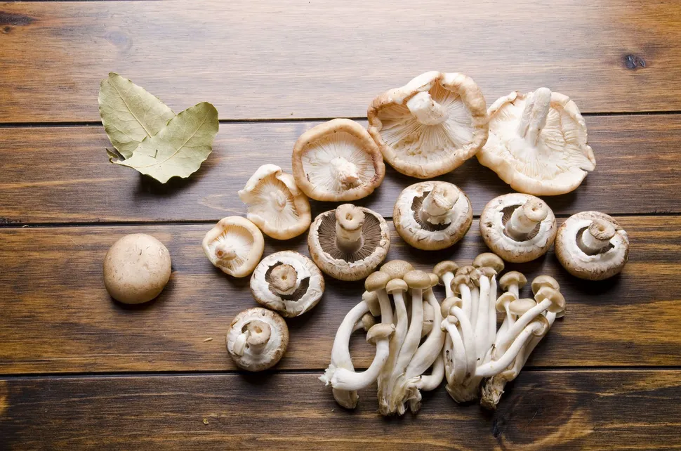 Eat Your Mushrooms! Powerful Health Benefits For The Cancer Thriver image