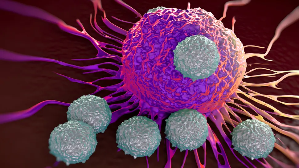 CAR T Cells Keep Rolling Closer to the Clinic image