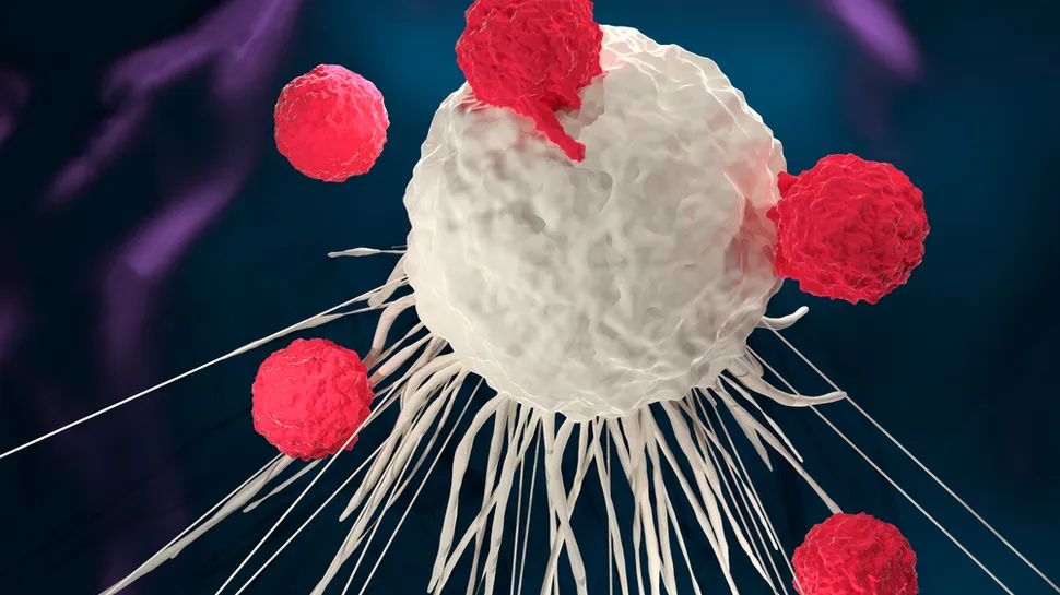 Car T-Cell Research Moves Into Clinical Practice image