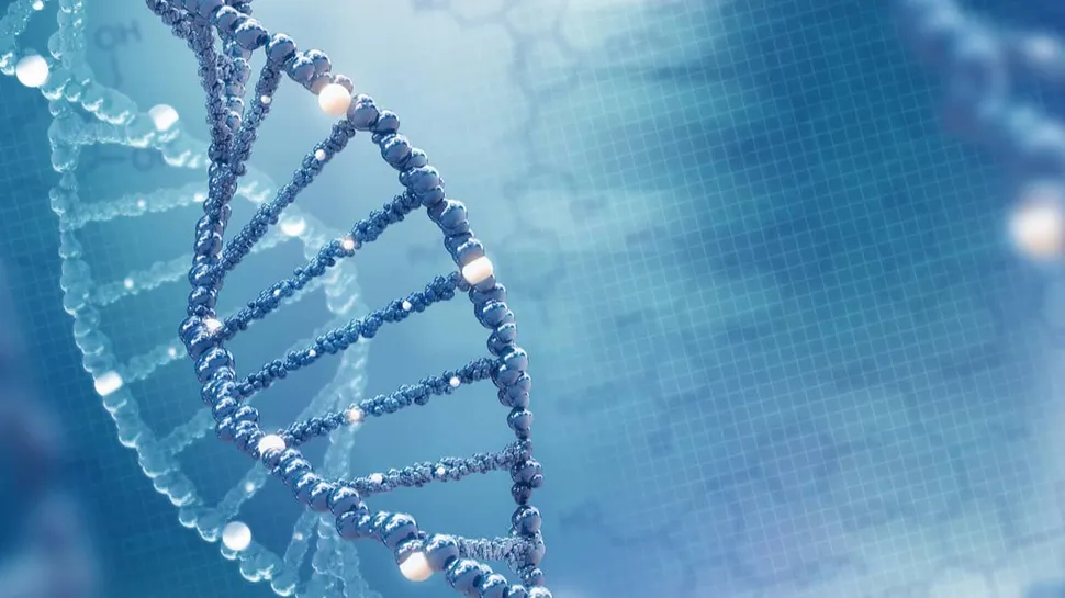 Basic Genetics Overview: Chromosomes, Genes, And DNA image