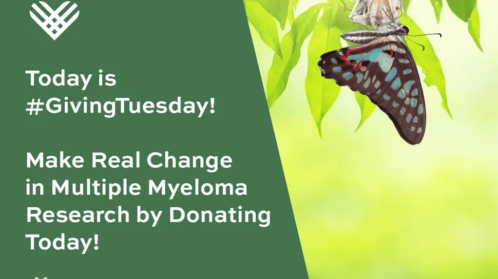 Help Us Make Change in Myeloma Research Today on #GivingTuesday image