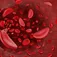 What is Erythrocytosis?  article banner image