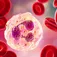 What Are Neutrophils in Myeloma? article banner image