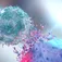 Why Have My NK Cells Stopped Killing CLL? article banner image