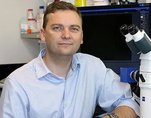 Dr. Rodger Tiedemann discusses why myeloma persistently returns and his work to strike at the root of the disease by targeting earlier stage progenitor cells image
