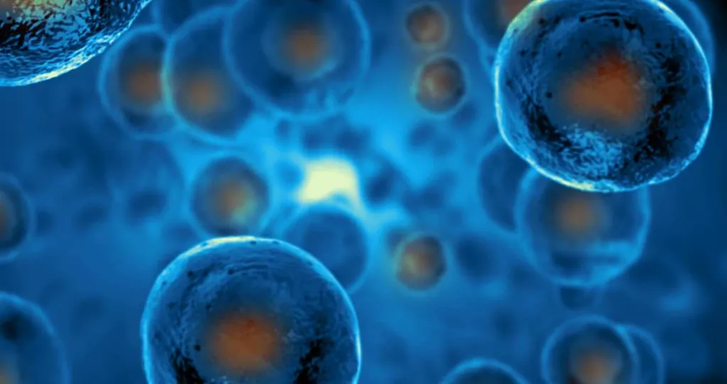 Engineered Toxin Bodies Targeting CD38 in Myeloma with Shaji Kumar, MD, Mayo Clinic image