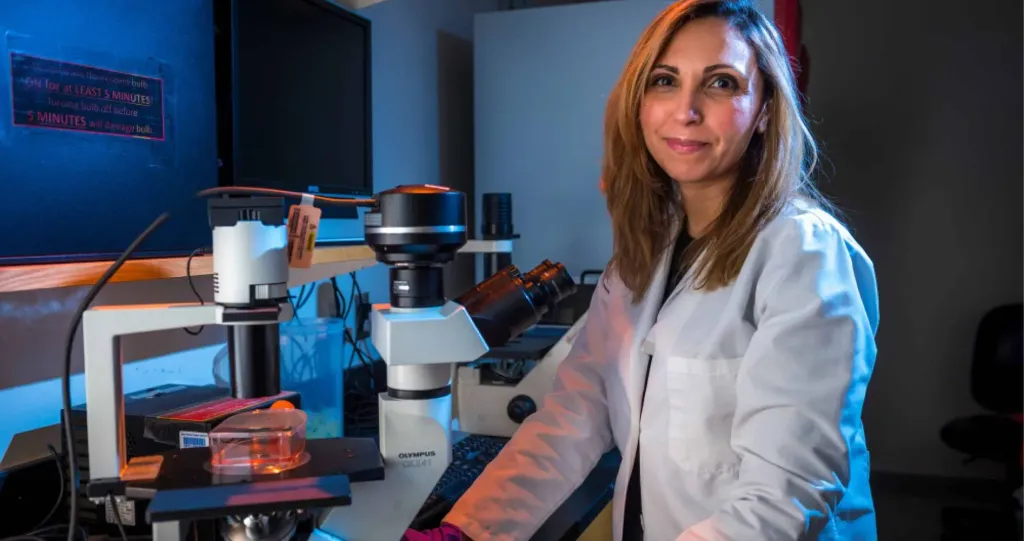 The IMPACT of COVID-19 on MGUS, Smoldering Myeloma, African Americans and Myeloma Patient Family Members image