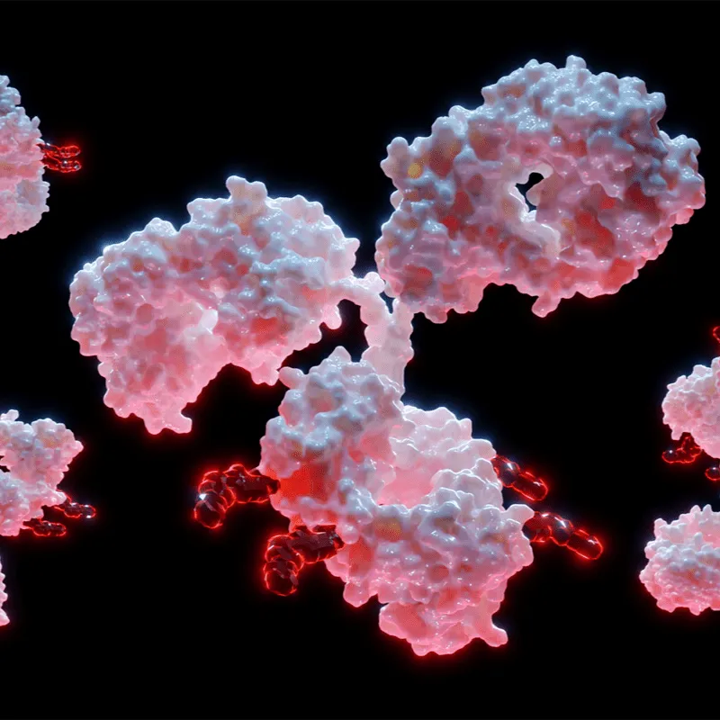 Clinical Trials for the Nonsecretory Myeloma Patient with Dr. Sascha Tuchman image