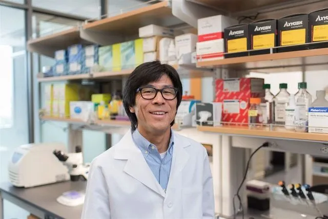 Allogeneic Transplant and Precursor Myeloma Cells with William Matsui, MD, Johns Hopkins image