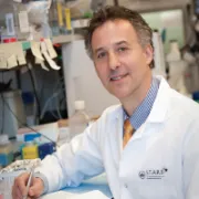Low-to-no-chemo allo myeloma transplant and immune therapy with auto transplant with Dr. Daniel Fowler, MD, NIH image