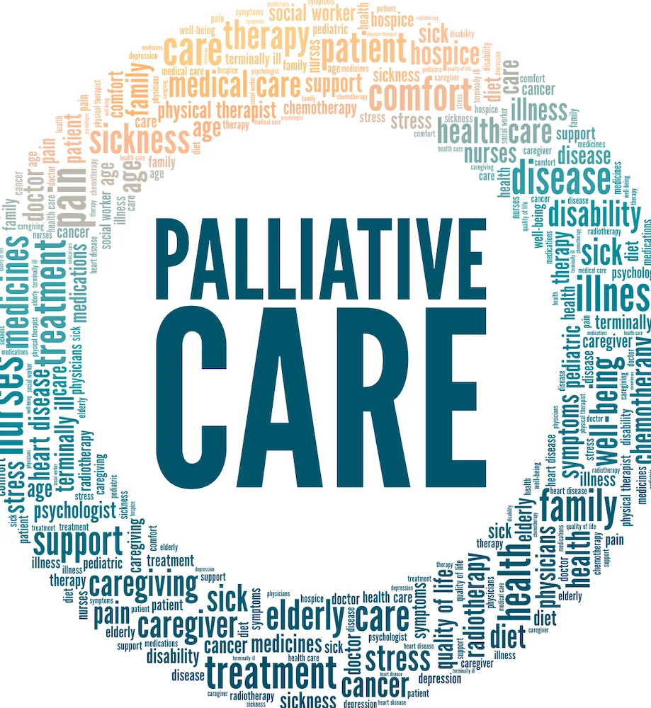 Palliative Care for Blood Cancer Patients and Caregivers image