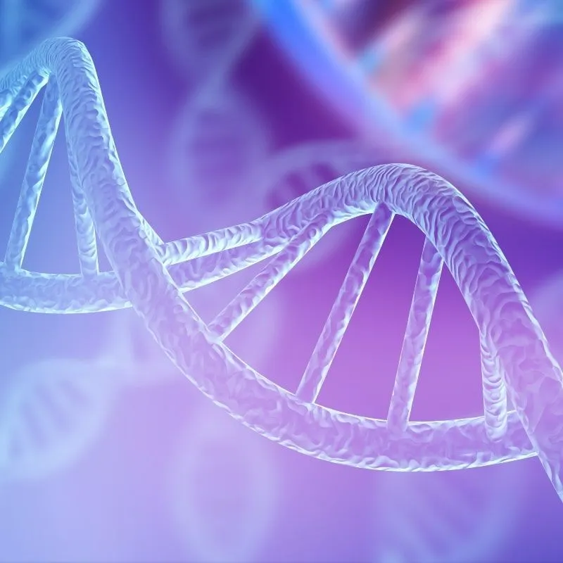 Nonsecretory Myeloma Event: Clonal Evolution and How It's Possible image