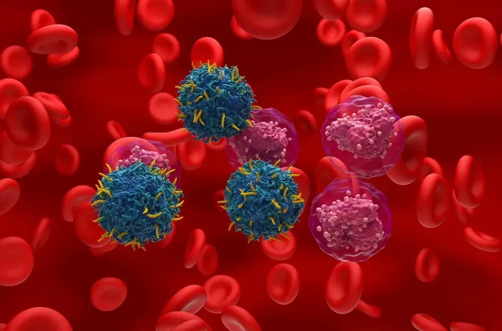 Anito-Cel CAR- T Therapy: A New Option for Relapsed or Refractory Myeloma image