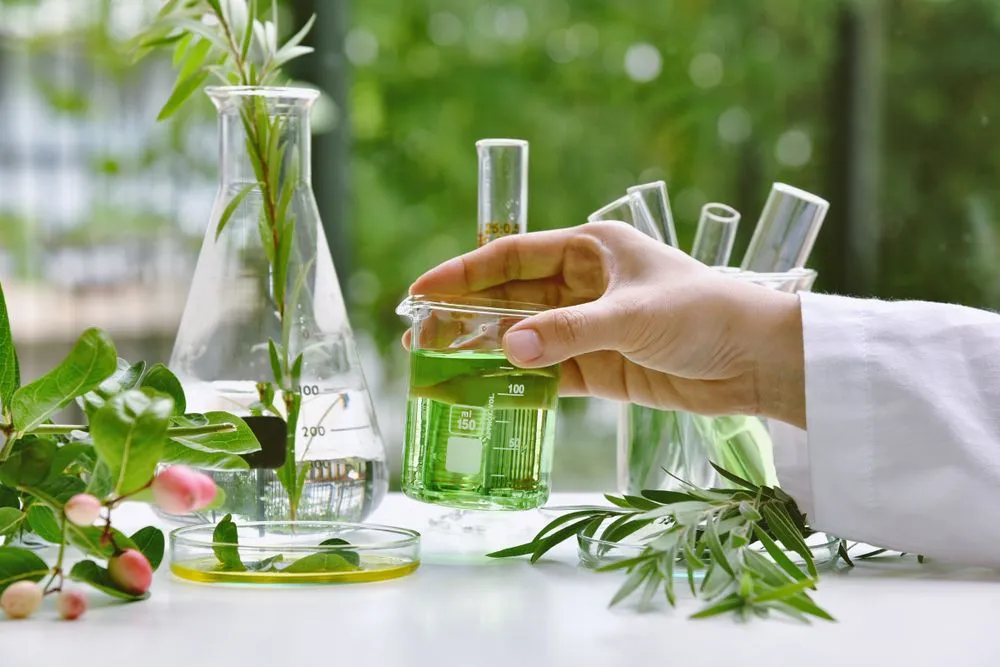 How To Safely Incorporate Complementary Medicine in Cancer Care image