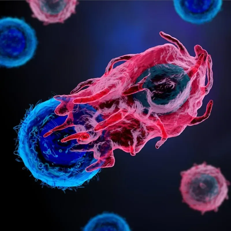 Immunotherapy 101 for Multiple Myeloma Patients image