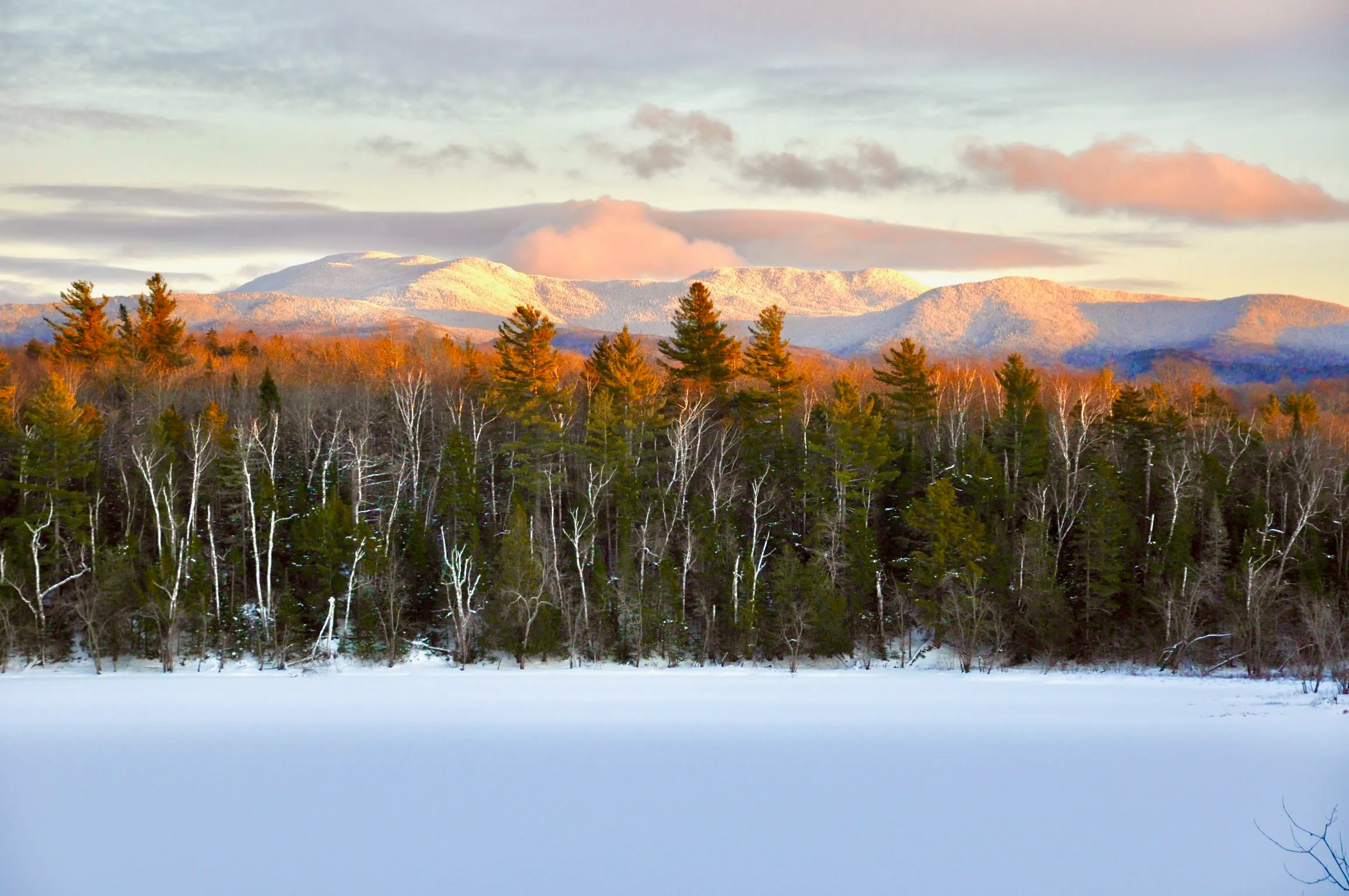 multiple myeloma experience