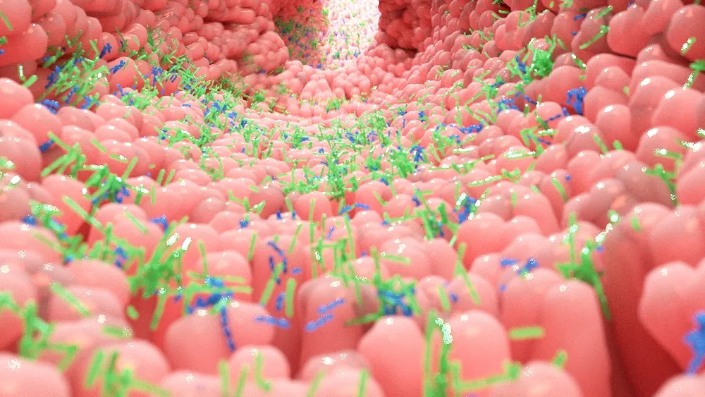 Nutrition and the Gut Microbiome: Exploring Their Role in Multiple Myeloma image
