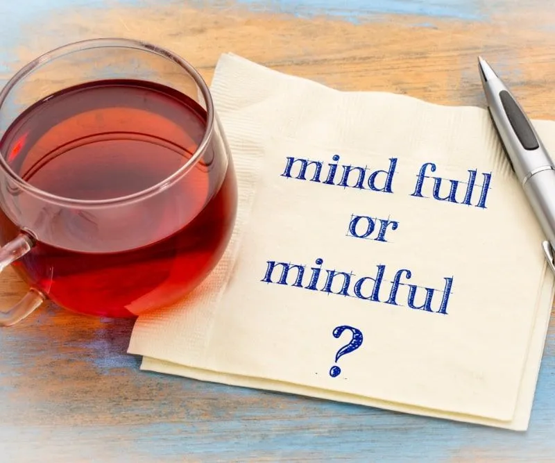 Florida Community Event: Practicing Mindfulness- Managing Emotions image