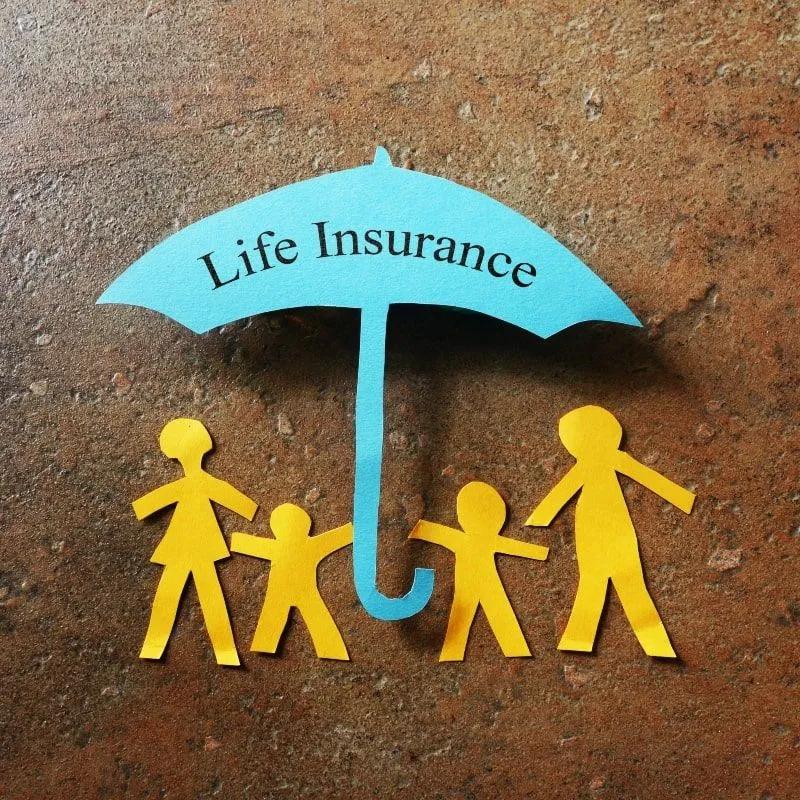 Life Insurance: How to Obtain It and Maximize It image