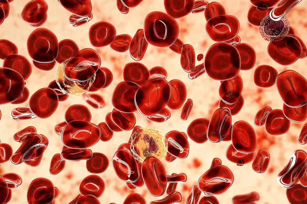 ASH 2025: Rusfertide for Polycythemia Vera article banner image