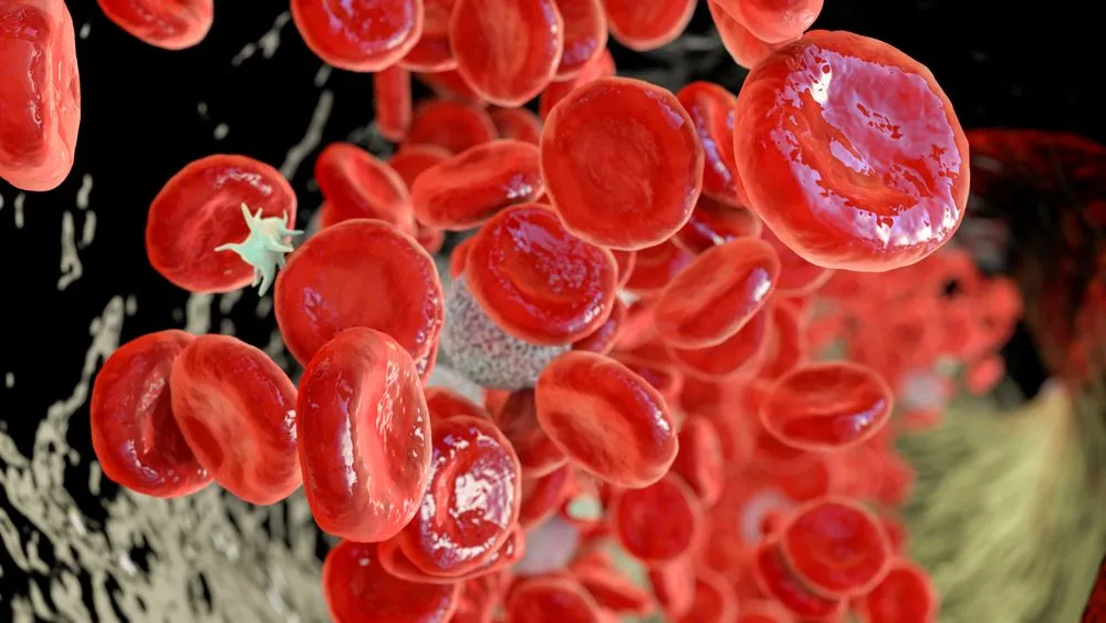 Successful Results From The Phase 3 VERIFY Study: Rusfertide Treats PV image