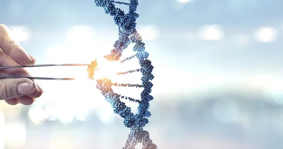 Study Finds Higher Risks for Some Women with DLBCL image