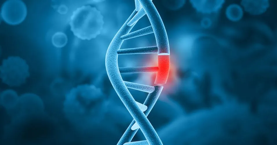 Updates in Treatment Options for TP53-Mutant AML and MDS image