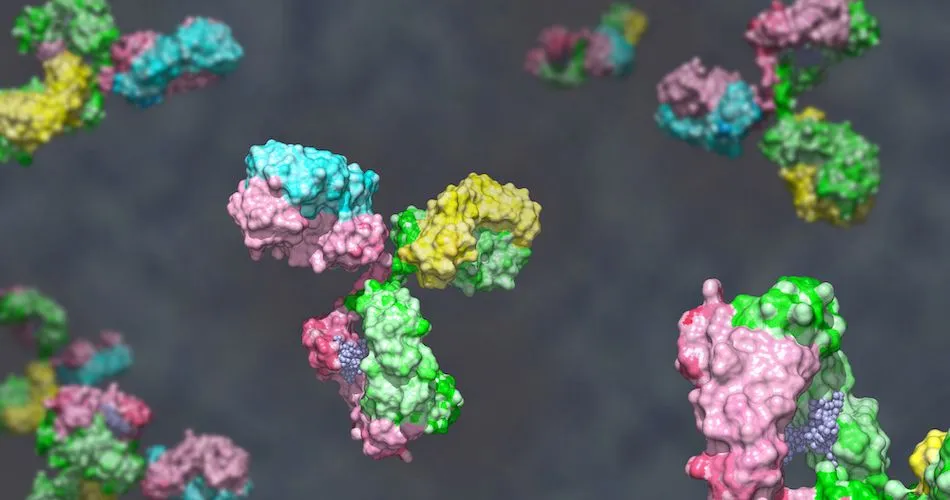 If CAR T-Cell Therapy Fails, How Effective Are Bispecific Antibodies for Large B-Cell Lymphoma? image