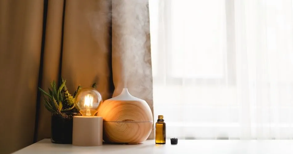 Aromatherapy for Nausea: Four Essential Oils to Try image