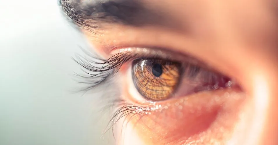 HealthTree Research Results: Myeloma Eye Health and Dexamethasone image