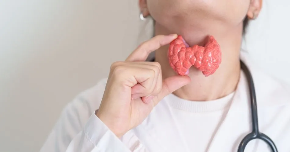 Does CAR T-cell Therapy Impact Thyroid Health? image