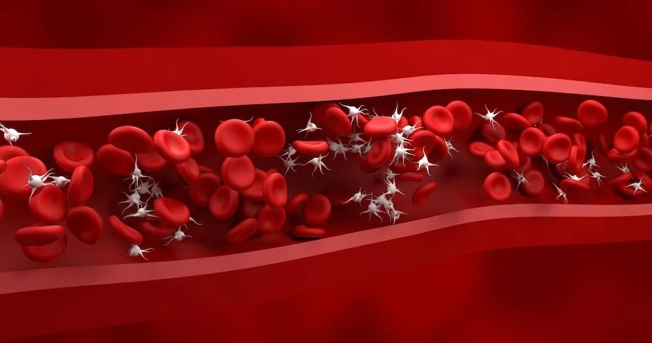 Is Fedratinib Safe for Myelofibrosis Patients with Low Platelets? image
