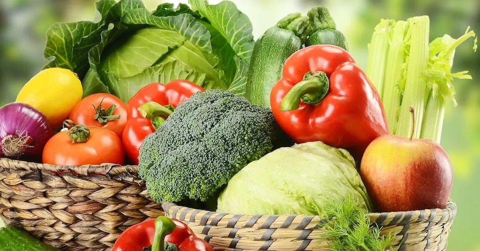Effects of Eating Fiber, Plant-Based Diet, Keto Diet, and Smoking on Certain Blood Cancers image