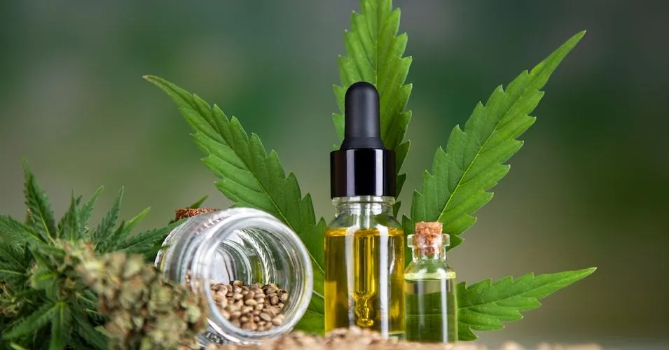 HealthTree Research Results: Patient Experiences and Attitudes about Cannabis image